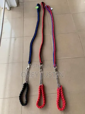 Dog Leash (Different Sizes)