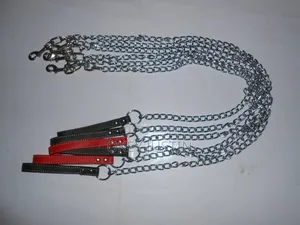 Dog Leash (Different Sizes)