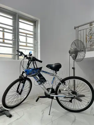 Foreign Used Bicycle