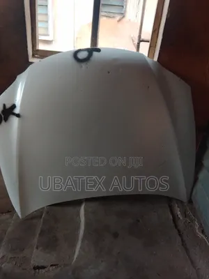 Es350 Bonnet 2008/2010 Model