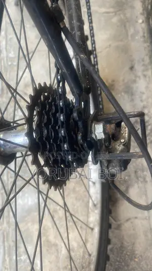 Bicycle Black