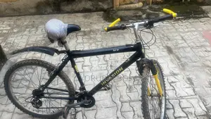 Bicycle Black