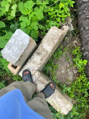 Landed Property