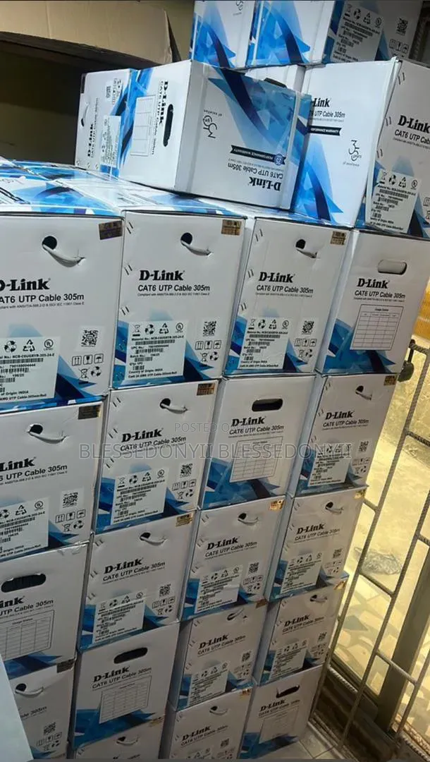 D-Link Cat6 Indoor
