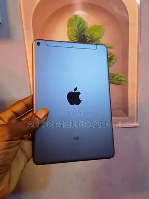 Apple iPad mini 5 64 GB Gray