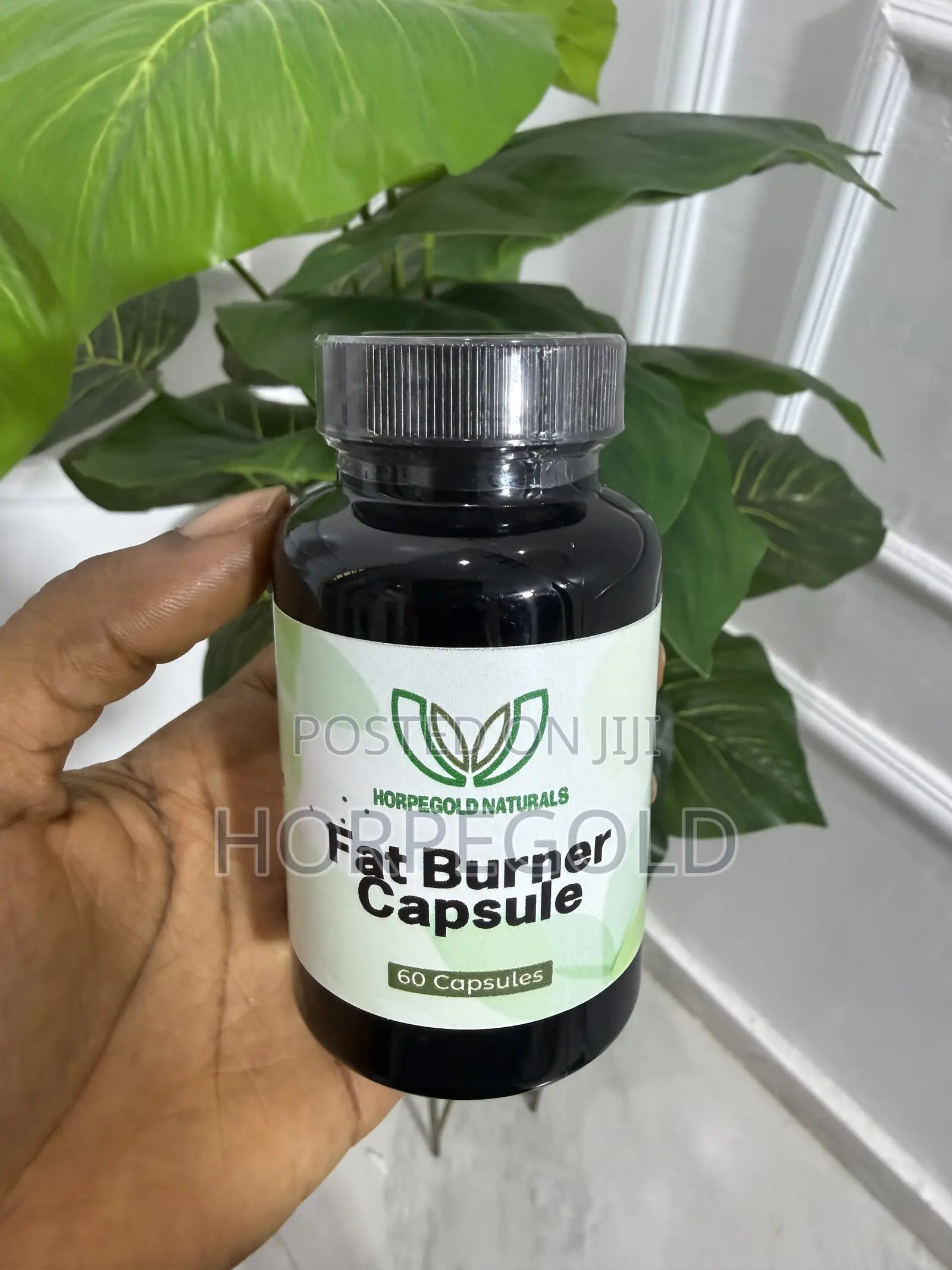 Fat Burner Capsule