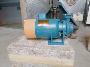 Surface and Pressure Water Pump