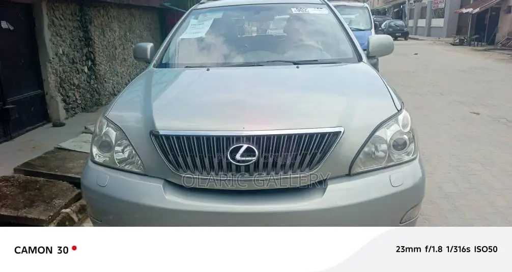 Lexus RX 2007 Silver