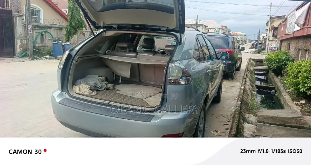 Lexus RX 2007 Silver