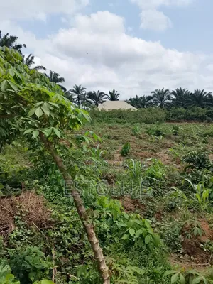 International Breweries Plot of Land