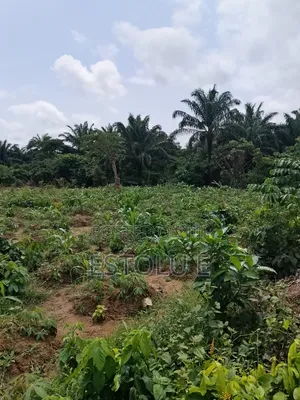 International Breweries Plot of Land