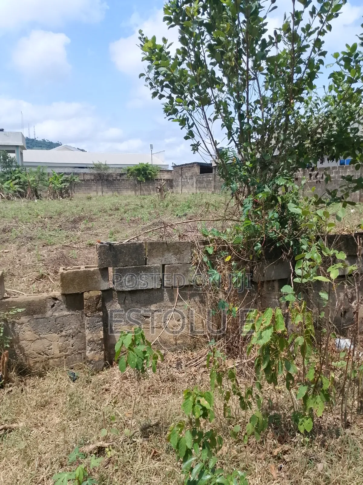 International Breweries Plot of Land
