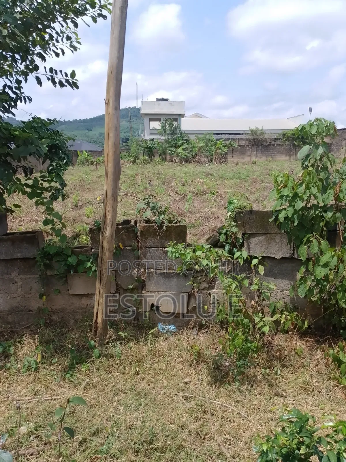 International Breweries Plot of Land