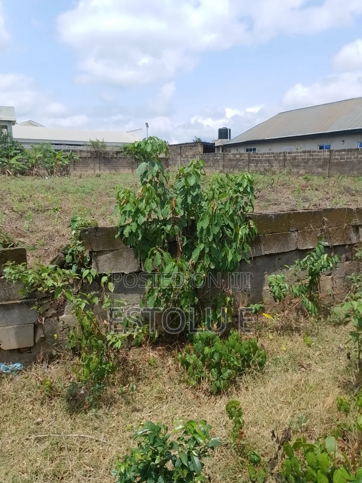 International Breweries Plot of Land