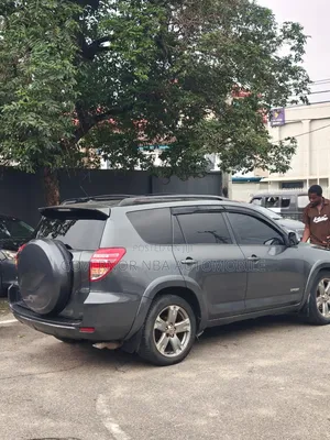 Toyota RAV4 2010 Gray