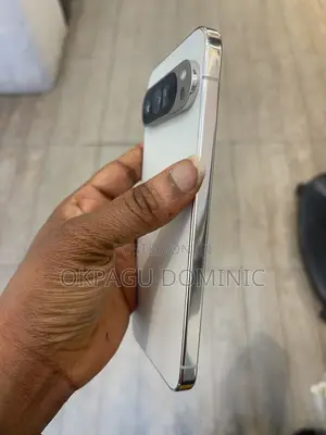 Google Pixel 9 Pro XL 256 GB Silver