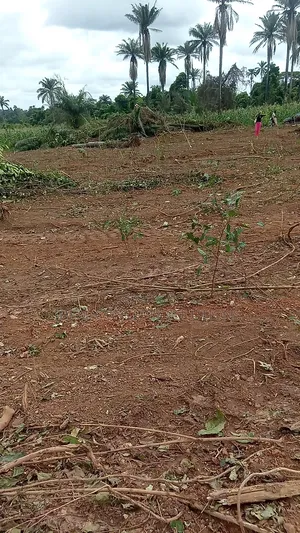 Aviation City Ilishan Ikene Ogun State