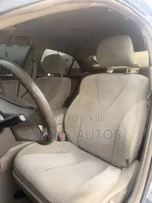 Toyota Camry 2010 Gray