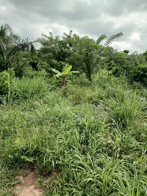 10 Plots of Land for Sale at Abutu,Ojoo,Ibadan