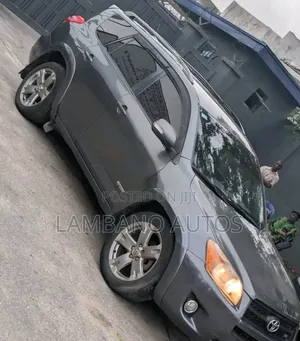 Toyota RAV4 2010 Gray