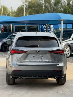 Lexus NX 2022 Gray