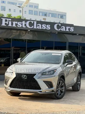 Lexus NX 2022 Gray