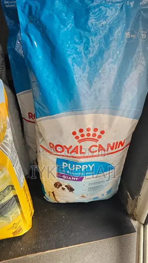 Dogs and Cats Dry Food