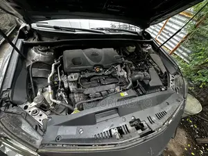 Toyota Camry 2019 Gray