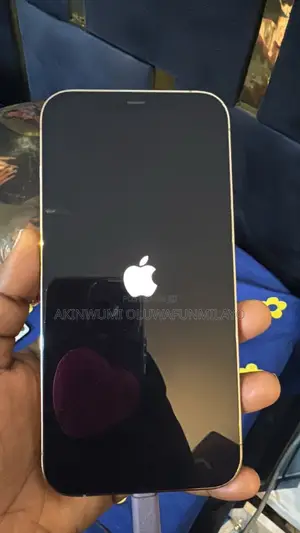 Apple iPhone 12 Pro Max 128 GB Rose Gold