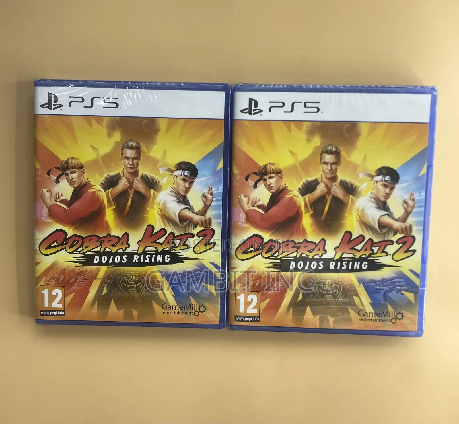 Ps5 Cobra Kai Dojos Rising