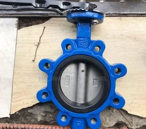4"Inch(Dn100)Lug-Type Butterfly Valve Operator(Stainless Tongue)