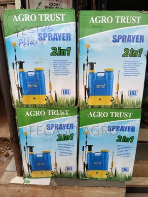 2 in 1 Battery Sprayer