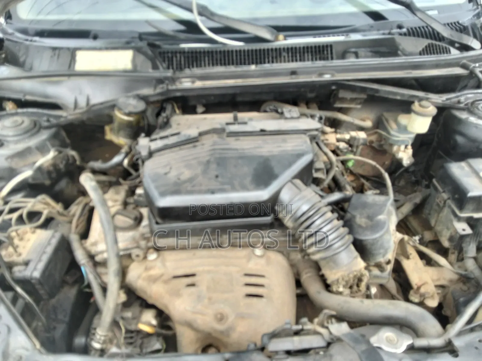 Toyota RAV4 Automatic 2003 White