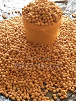 Perley Peanut Burger