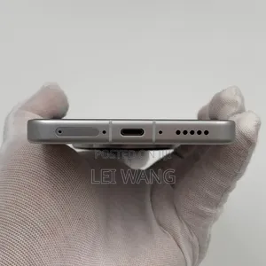 Vivo X300 Ultra 256 GB Silver