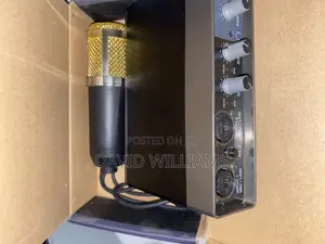 Audio Interface (2 in 2 Out) + Condenser Microphone for Recording