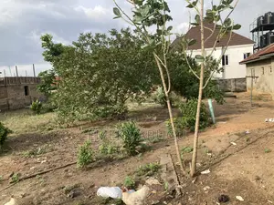 A Standard Plot of Land at Idishin Off Akala