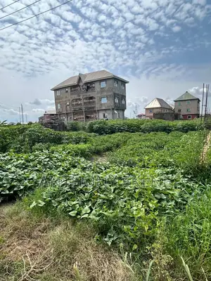 1 Plot of Land