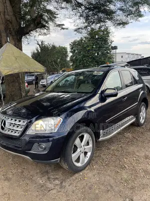 Mercedes-Benz M Class ML350 AWD 4MATIC 2009 Blue