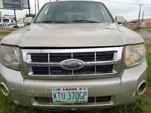 Ford Escape 2008 Gold