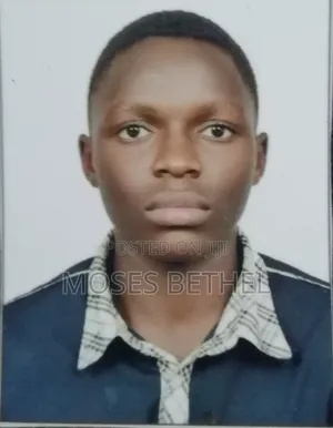 Graphic Designer
