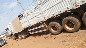 Dangote and Bua Cement Distributor