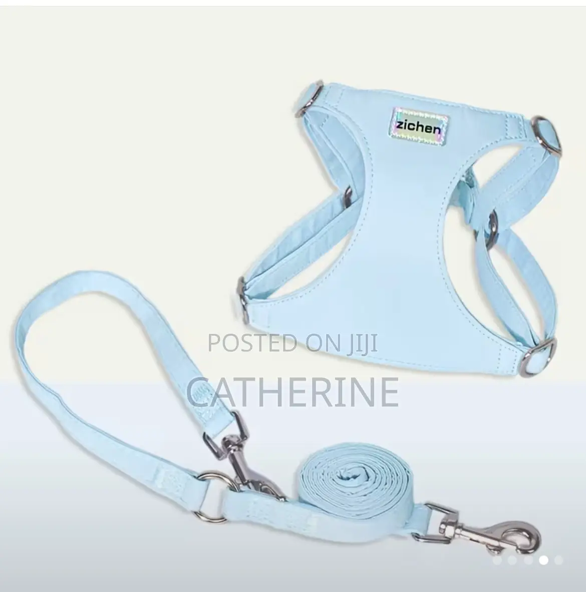 Pet Harness and Leash