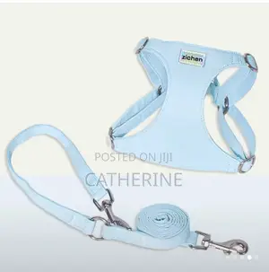 Pet Harness and Leash