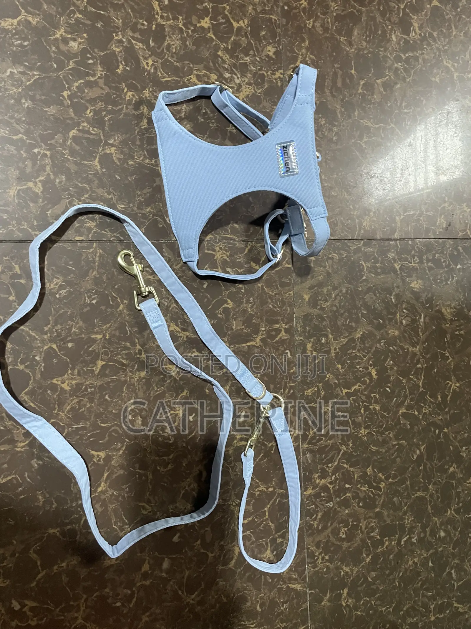 Pet Harness and Leash