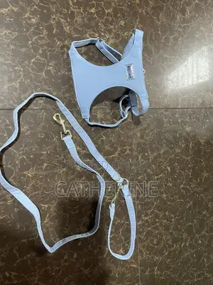 Pet Harness and Leash