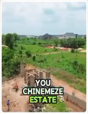 Plots of Land for Sale at Chinemeze Estate Igbariam