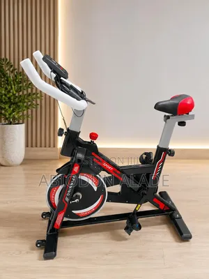 Indoor Exercise Cycling Bike