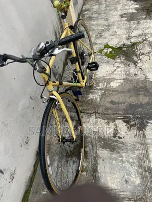 Bicycle Raleigh
