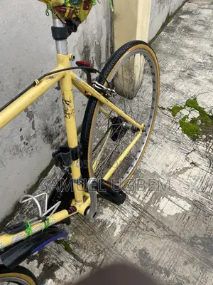 Bicycle Raleigh